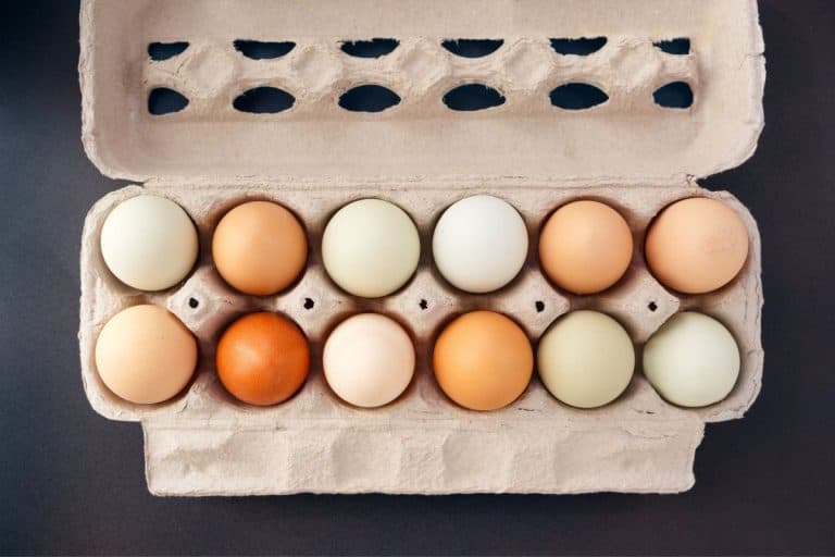 How Many Chickens For a Dozen Weekly Eggs? (+Tips to improve)