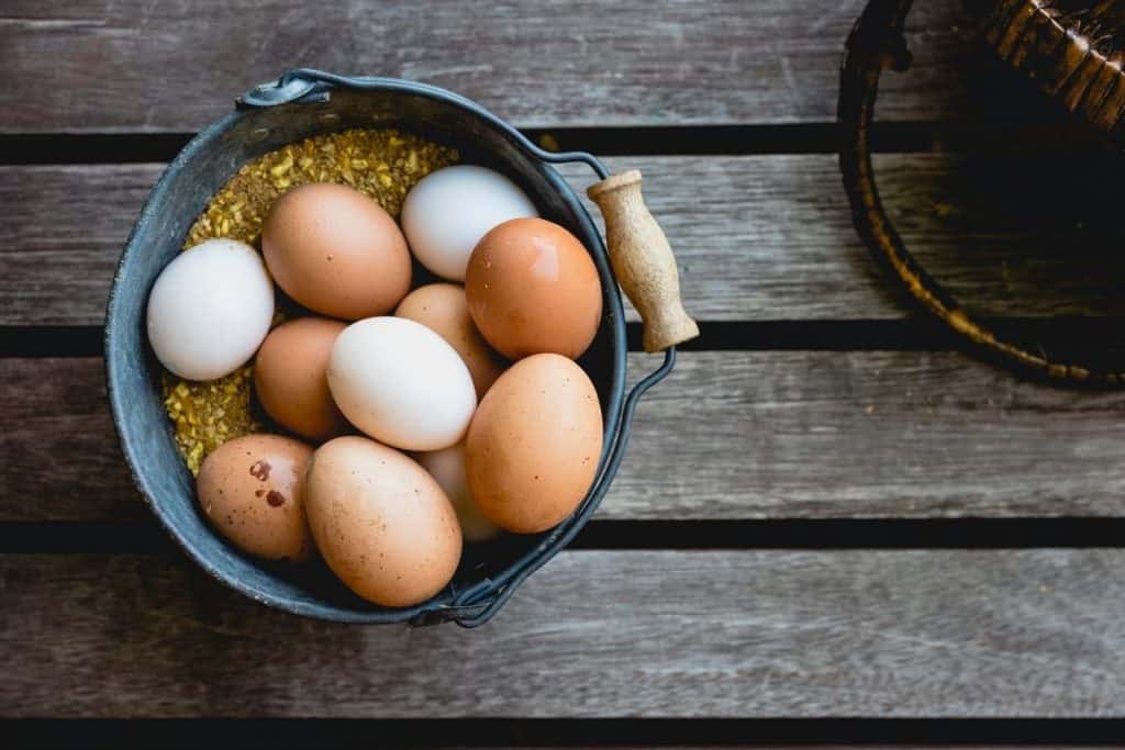 chickens eggs colors reasons